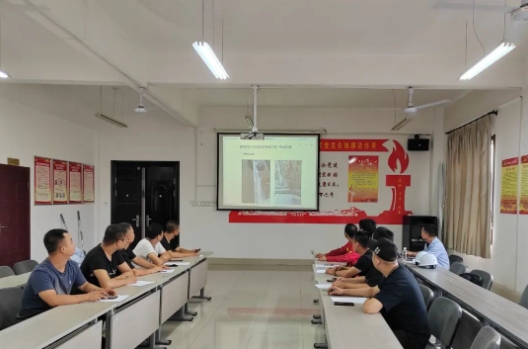 技术质量部组织开展质量提升活动
